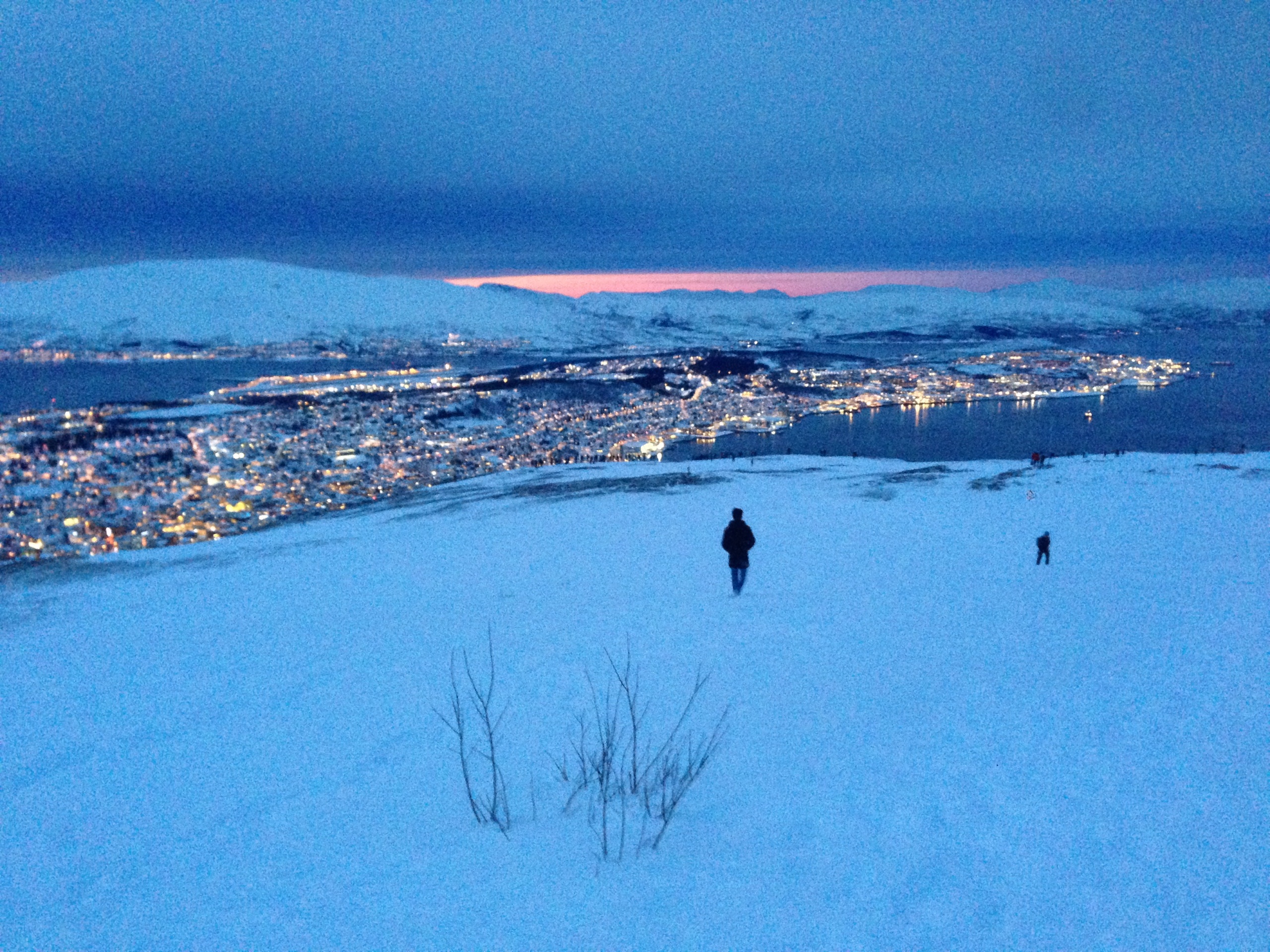 Tromsø Midnight Sun Marathon - Wikipedia