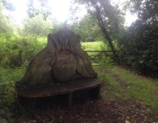 A monstrous bee orchid welcomes you to have a seat before starting your journey along the NDW...