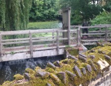 ...which will pass by many rivers, as well as steps...