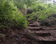 ...oh, so many steps...