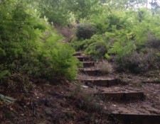 ...oh, so many steps...