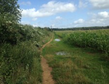 You will pass by various open fields...