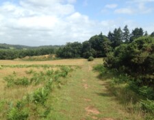 ...venture into more shady forested pathways...