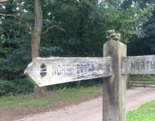 ...come across squirrely way markers...