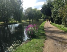 Walk this Wey -- enjoy the river before leaving it behind once you crossed the footbridge.