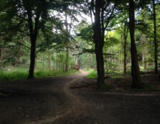 Deep into the woods we go to enjoy some quiet time and ponder life and its daily conundrums.