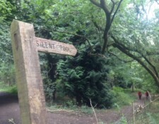 ...along a shady trail where you do not want to miss this sign -- Silent Pool, this way please!