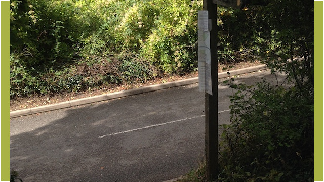 Up you go into the hedge...