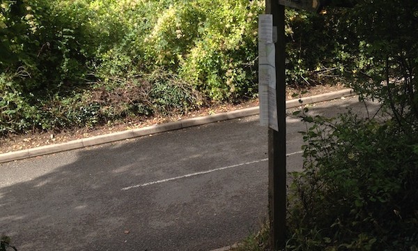 Up you go into the hedge...