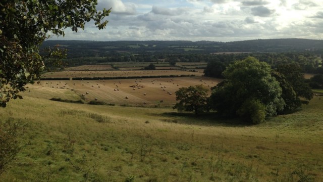 ...along with lots of hay!