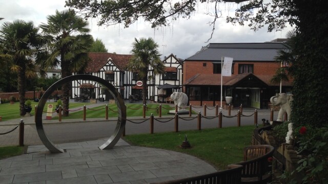 So far, we met some cheeky pheasants and passed by a herd of friendly cows. Logically, elephants would be the obvious next thing to encounter…