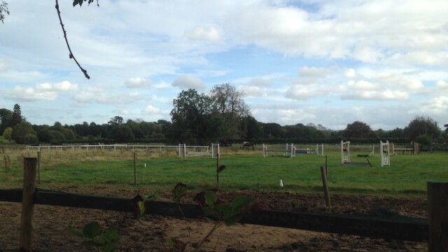 ...as well as some dressage horses once you make your way into Otford...