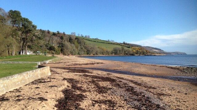 We'll come back for the dolphins later.