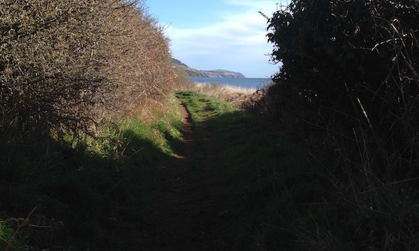 Best time of the day for a walk as not so many people are out and about yet.