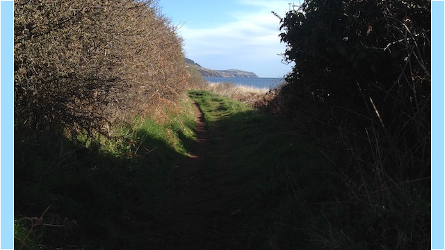 Best time of the day for a walk as not so many people are out and about yet.