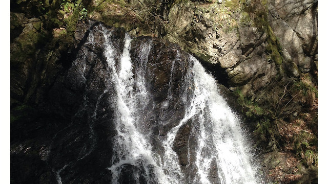 You might remember from Skye that Scottish fairies are anything but the cute little versions Disney brought to us.