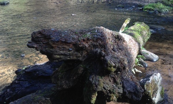 You might even start seeing things, especially when reaching the destination of your walk...