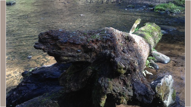 You might even start seeing things, especially when reaching the destination of your walk...