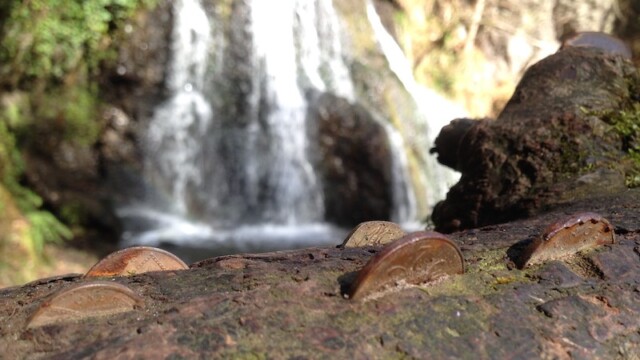 ...and having a closer look?!