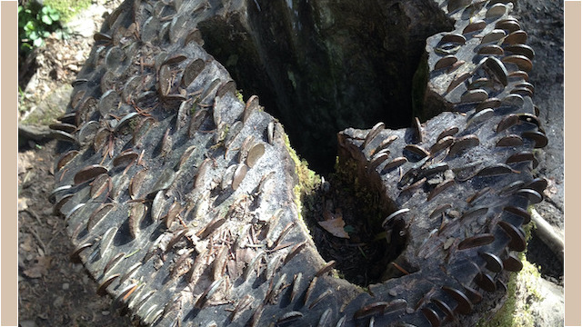 Being a destination hike, you'll pass the same sights which are now speckled with fairy offerings -- a rather magical place indeed!