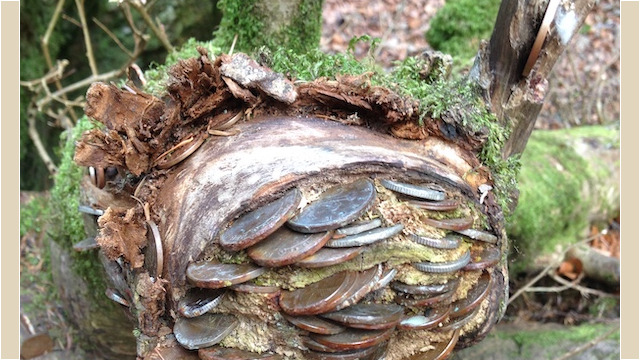 ...as you will start noticing coins wherever you look out of a sudden!