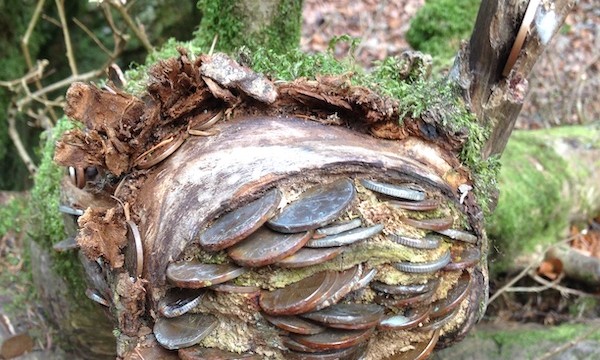 ...as you will start noticing coins wherever you look out of a sudden!