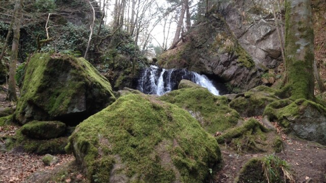 If you decided against giving into superstitions, left the sight but changed your mind along the way, no problem...