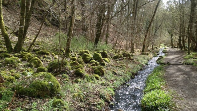 The walk itself is a 4 km (2.5 mile) track, fairly easy with only a few steep parts. Overall, a rather relaxing stroll leading past a 200-year-old mill pond and two waterfalls which makes it rather easy to stay on track -- just follow the water.