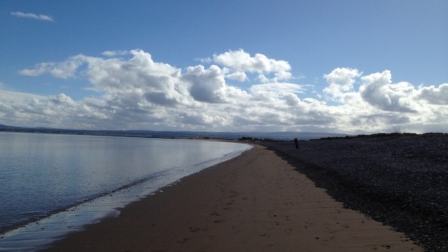 ...hopefully offering some opportunity to spot some dolphins as you walk over to Chanonry Point...