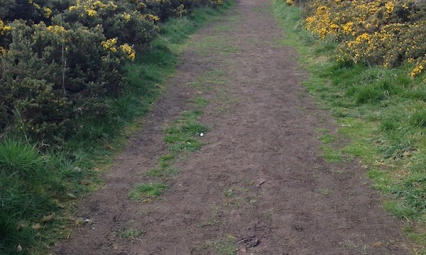 You'll be passing by a golf course, so watch your head while you do.