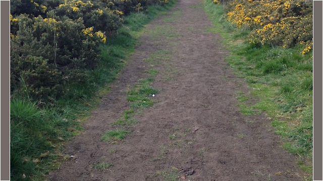 You'll be passing by a golf course, so watch your head while you do.