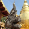 ...Chiang Mai, a city in the mountainous North of Thailand, home to hundreds of ancient Buddhist temples, the perfect juxtaposition to the traffic-choked Thai capital, where various night markets offer one or the other food experience as well as little bargains, ...