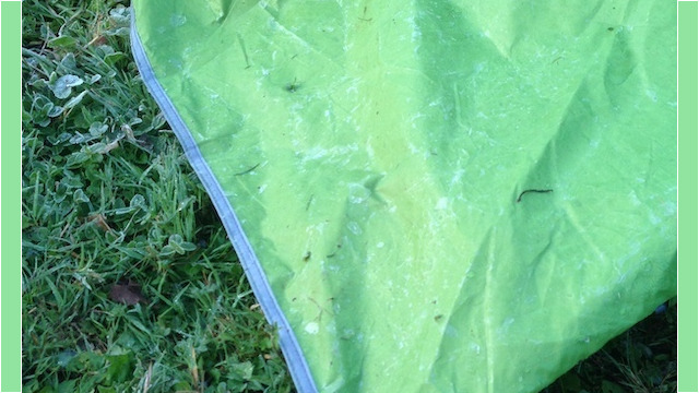 ...along with a frosty surprise...