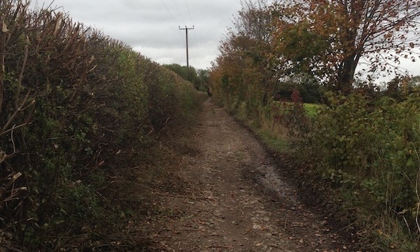 As we continued our journey...