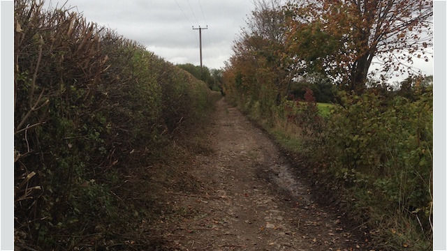 As we continued our journey...