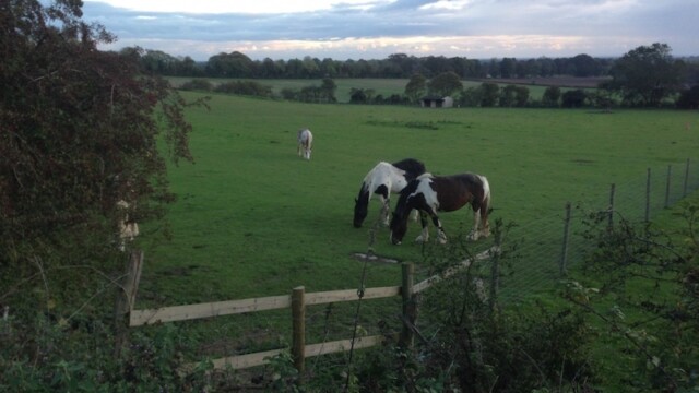 ...but this shall be the last night with my lovely wild camping fellow Ian, who made sure I'd know he's still close by all through the night -- sleep deprivation taking its toll or perhaps a sneaky strategy to make me long for some solitude ¯\_(ツ)_/¯ . . . I guess you'll have to come back to find out?! :)