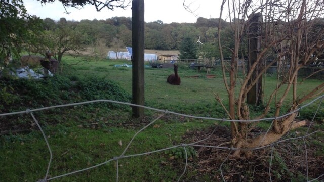 If you're raising your head in surprise like this curious creature just now, don't you worry, there's still more to come as I did promise some solo-adventures, ...