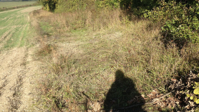 ...which disappeared as quickly as it was erected the night before ...in the rain!