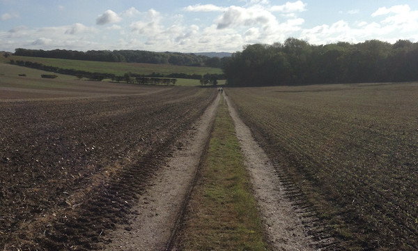 No surprise showers on the agenda that day though...