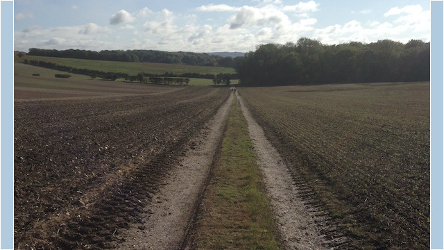 No surprise showers on the agenda that day though...