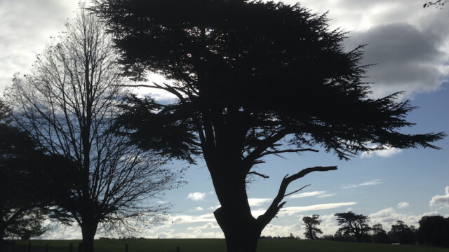 ...which meant we were able to blissfully take in the scenery around us...