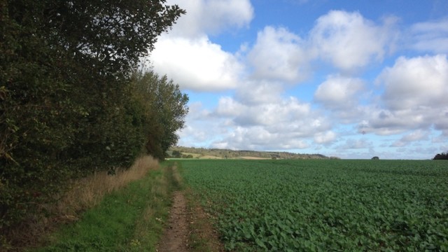 And so, the solo-adventure began...