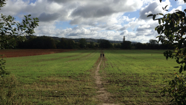 Such orchard delights are followed by various wide-open fields leading you straight into Wye...