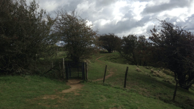 ...just me strolling along Wye Crown...