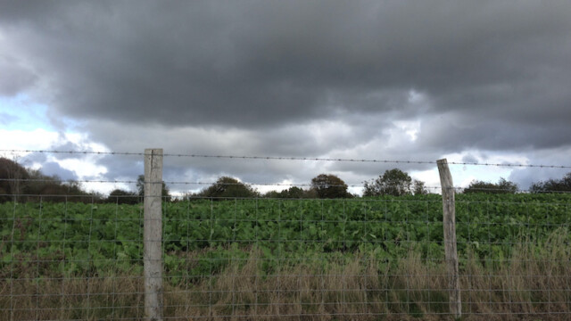 ...admiring the far-reaching views as well as impressive clouds drifting by...
