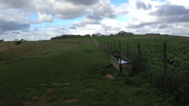 No followers that day though, ...