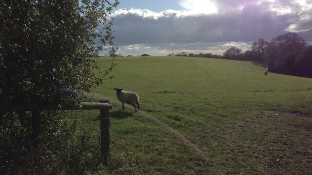 I'm sure this little fellow was just waiting for a clumsy accident to happen, ...