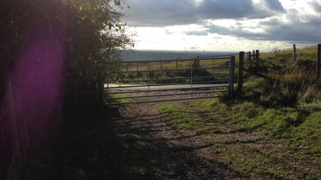 ...requiring some questionable climbing efforts given the human-sized creature strapped to my back.