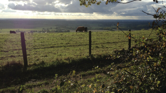...to take in the views and final rays of the day.