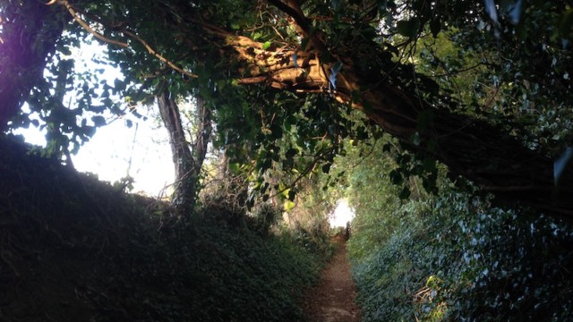 With the sun setting behind me and about an hour left till it completely vanished, it was time to find a hiding place for the night, which materialised on top of a farmer's field just passed Stowting, ...